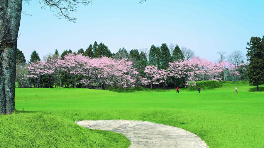 Fuji Heigen GC