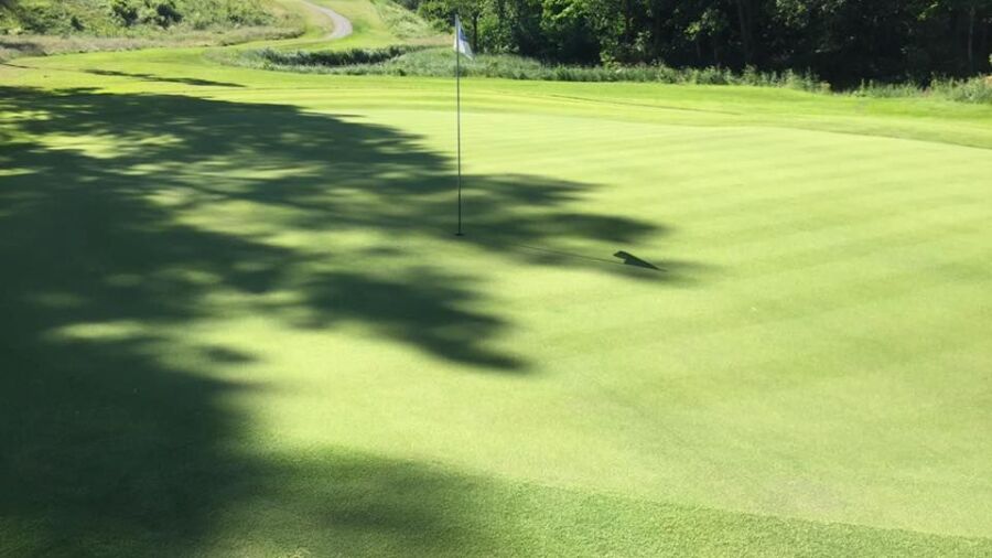 Kopings GC