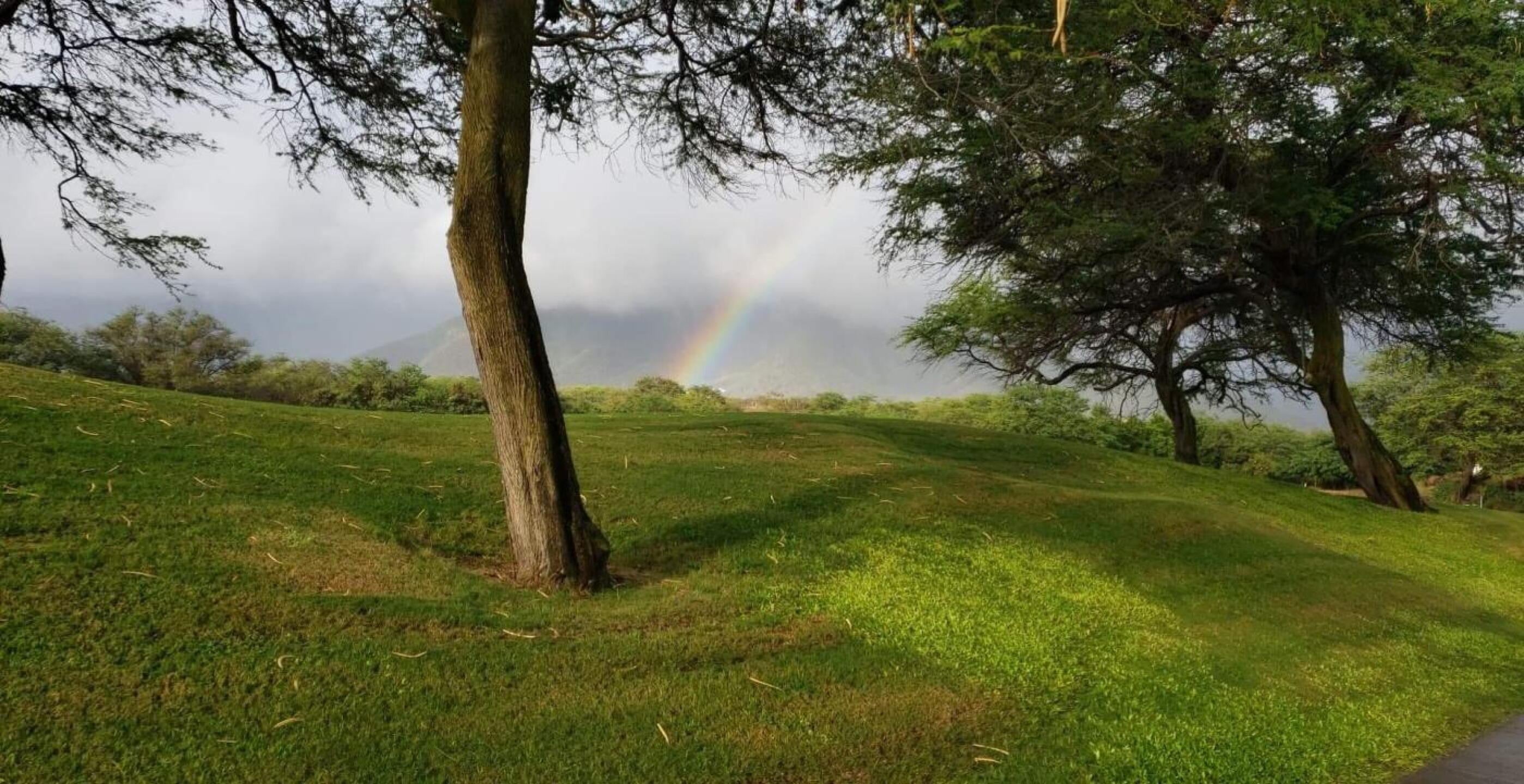 A little rain on the course (Photo submitted by u327521064 on 11/17/2019)