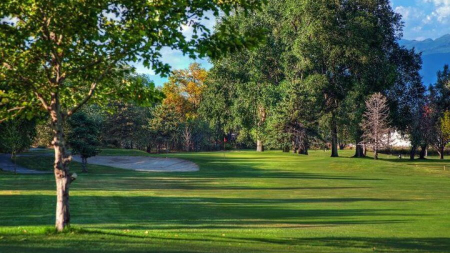 Rose Park GC
