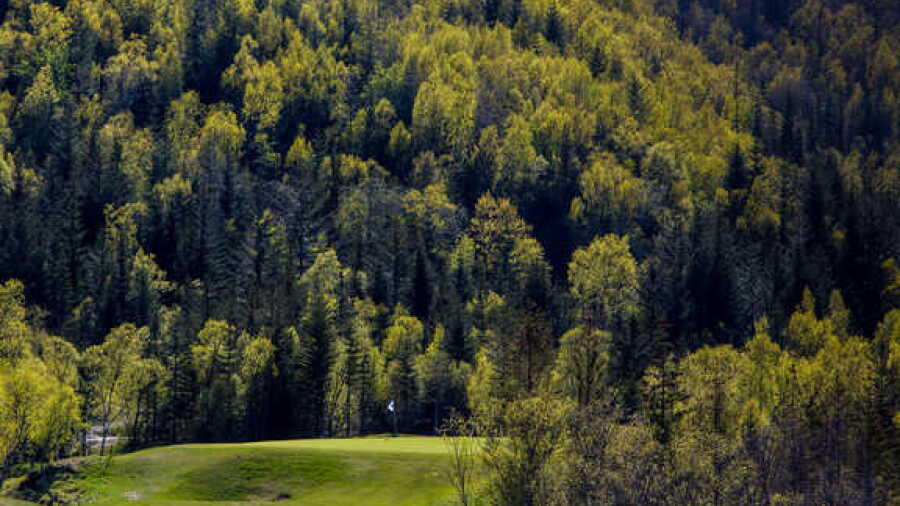 Bodo Golf Park - Salten GC: #12