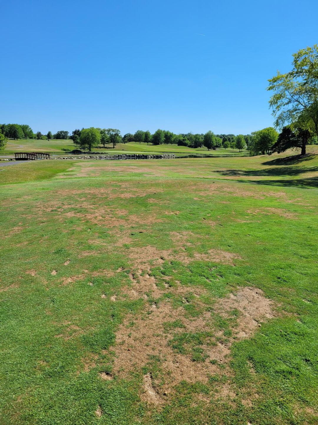 Tee Box (Photo submitted by number1wwefan on 06/16/2021)