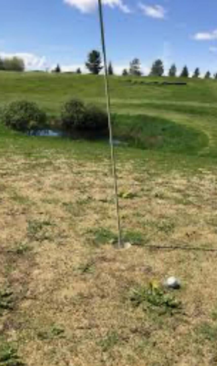 (Photo submitted by calumbrad2008 on 05/30/2025)