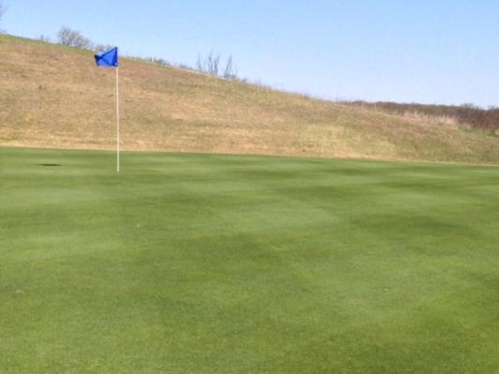 #5 Green April 22nd 2014 (Photo submitted by virgilrange on 04/23/2014)