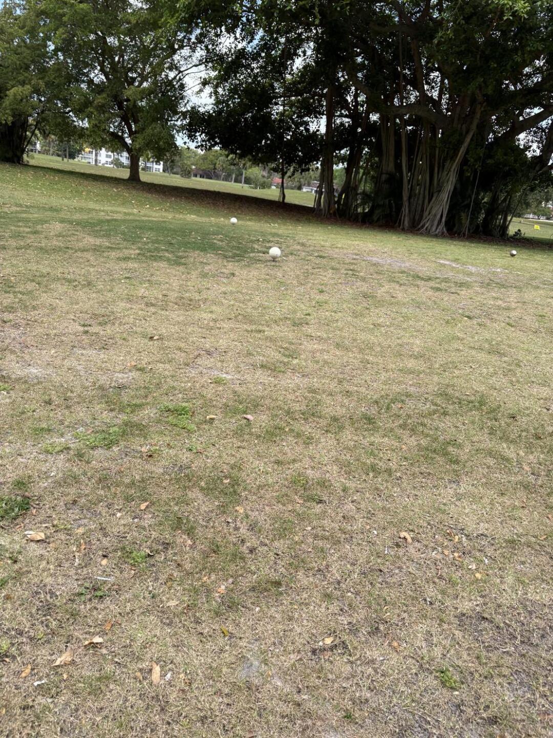 (Photo submitted by Reedsernoff1 on 04/02/2026)