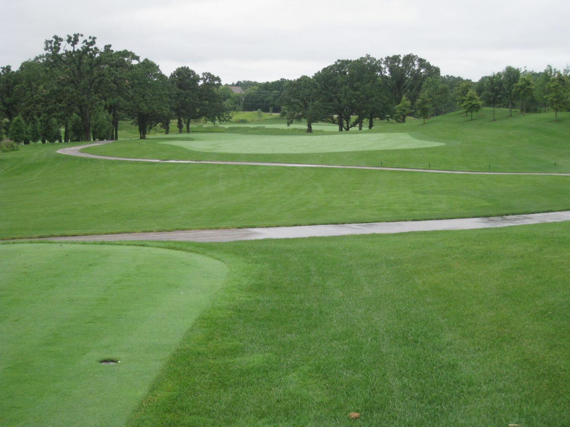 #2 Par 4 (Photo submitted by BryanTweed16 on 07/15/2015)