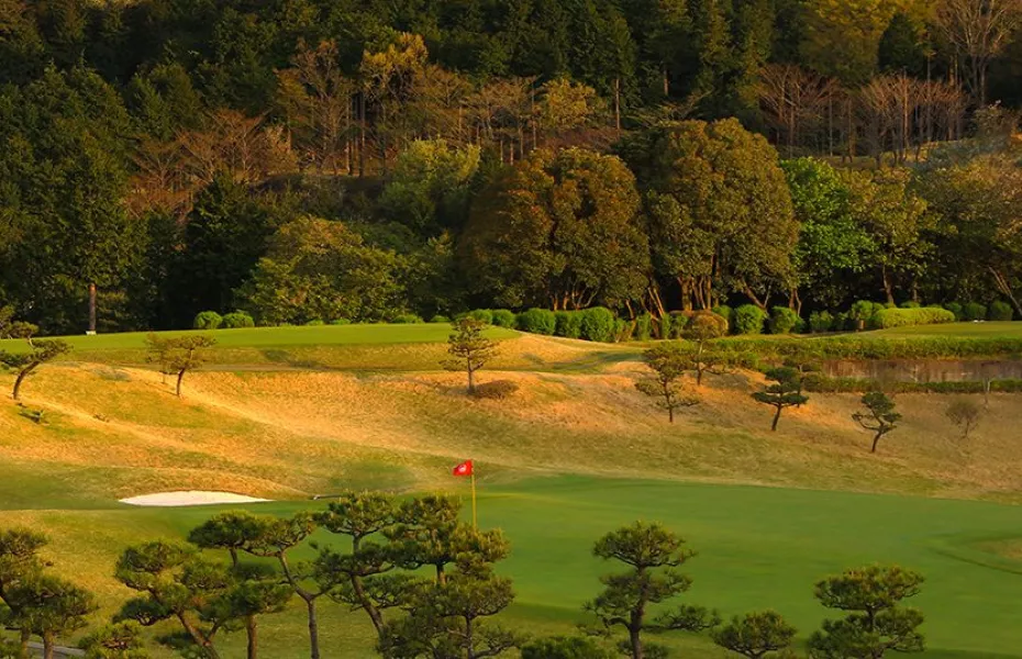 Grand Fields CC: #15