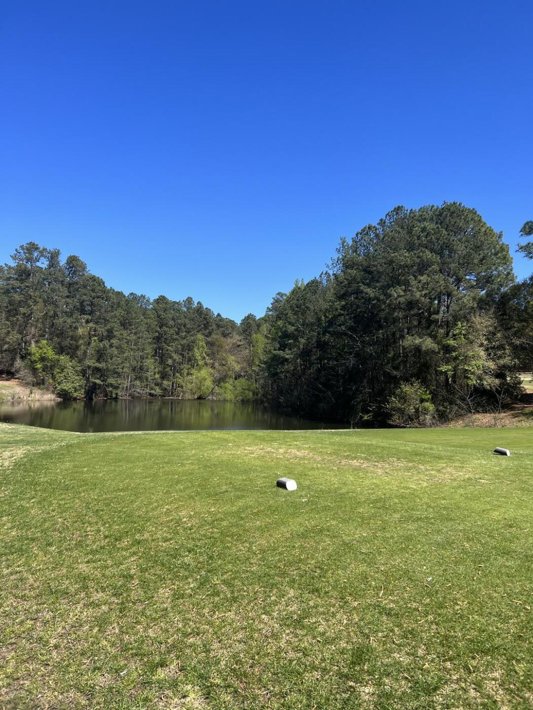 (Photo submitted by softhands8 on 03/17/2023)