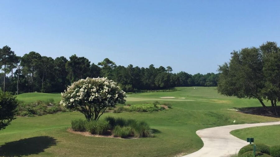 Carolina National GC: Heron #9