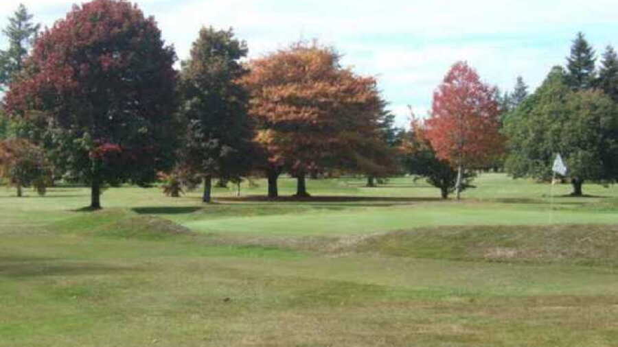 Waimarino GC