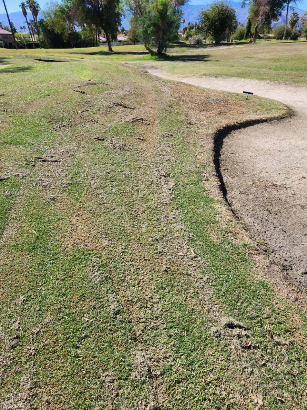 Bunker And Fringe (Photo submitted by SteveDB on 10/31/2022)