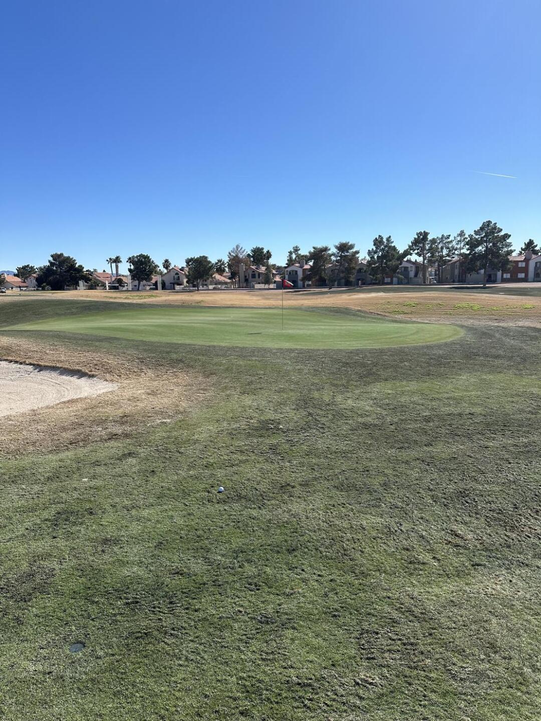 (Photo submitted by BYawn on 02/15/2024)