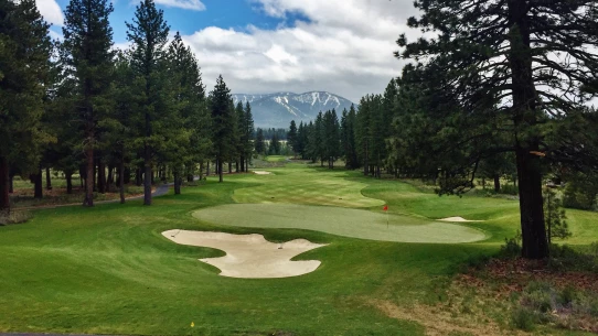 21+ Ponderosa Golf Course Truckee