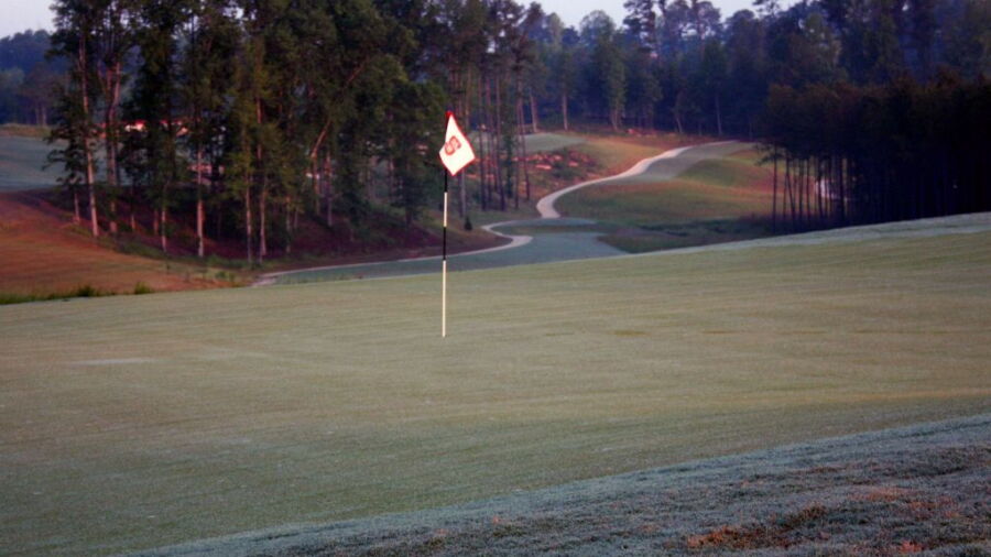 Lonnie Poole GC: Green #17