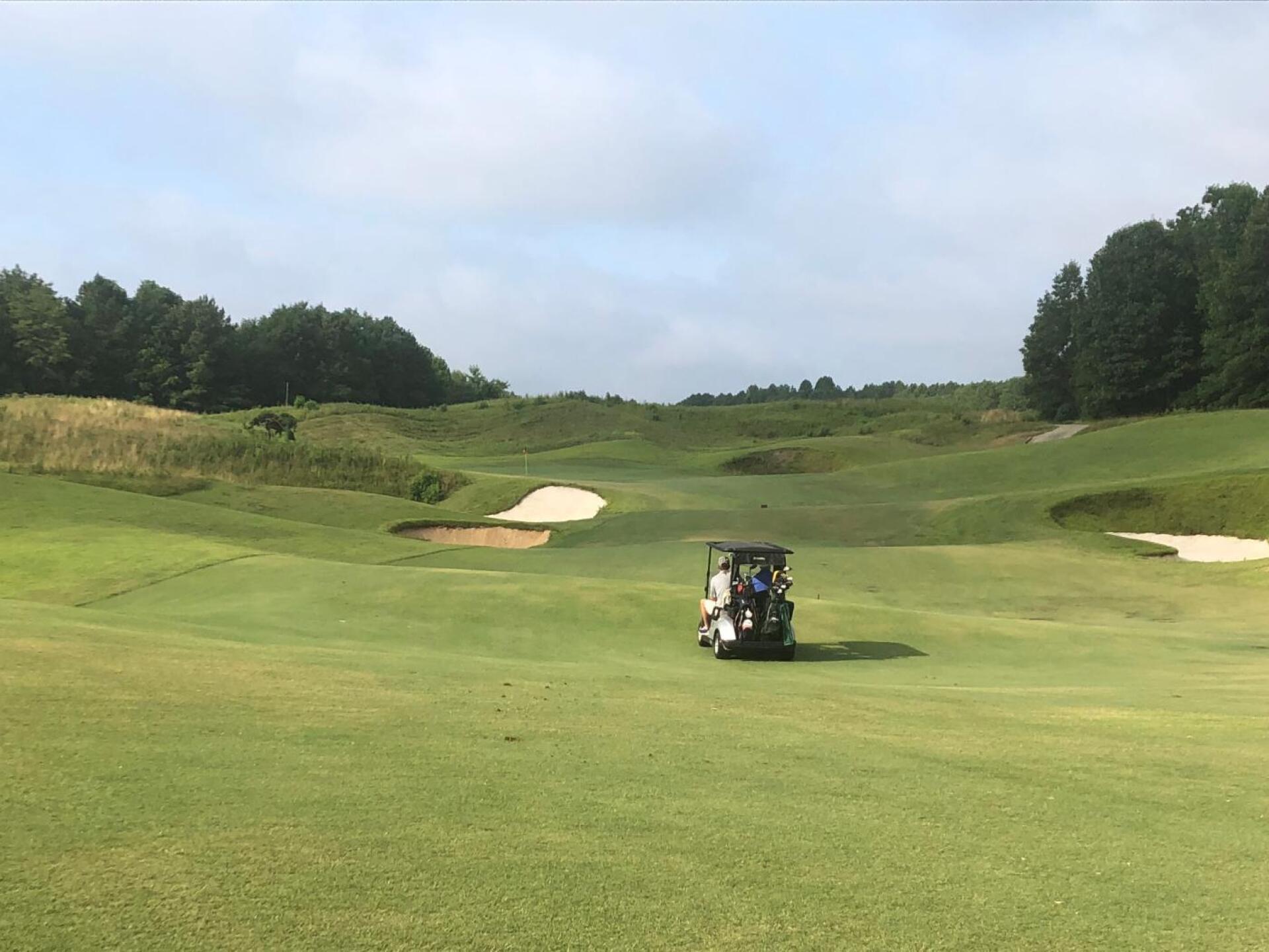 (Photo submitted by WJicvoXMhjXitR3ga5HN on 07/06/2019)