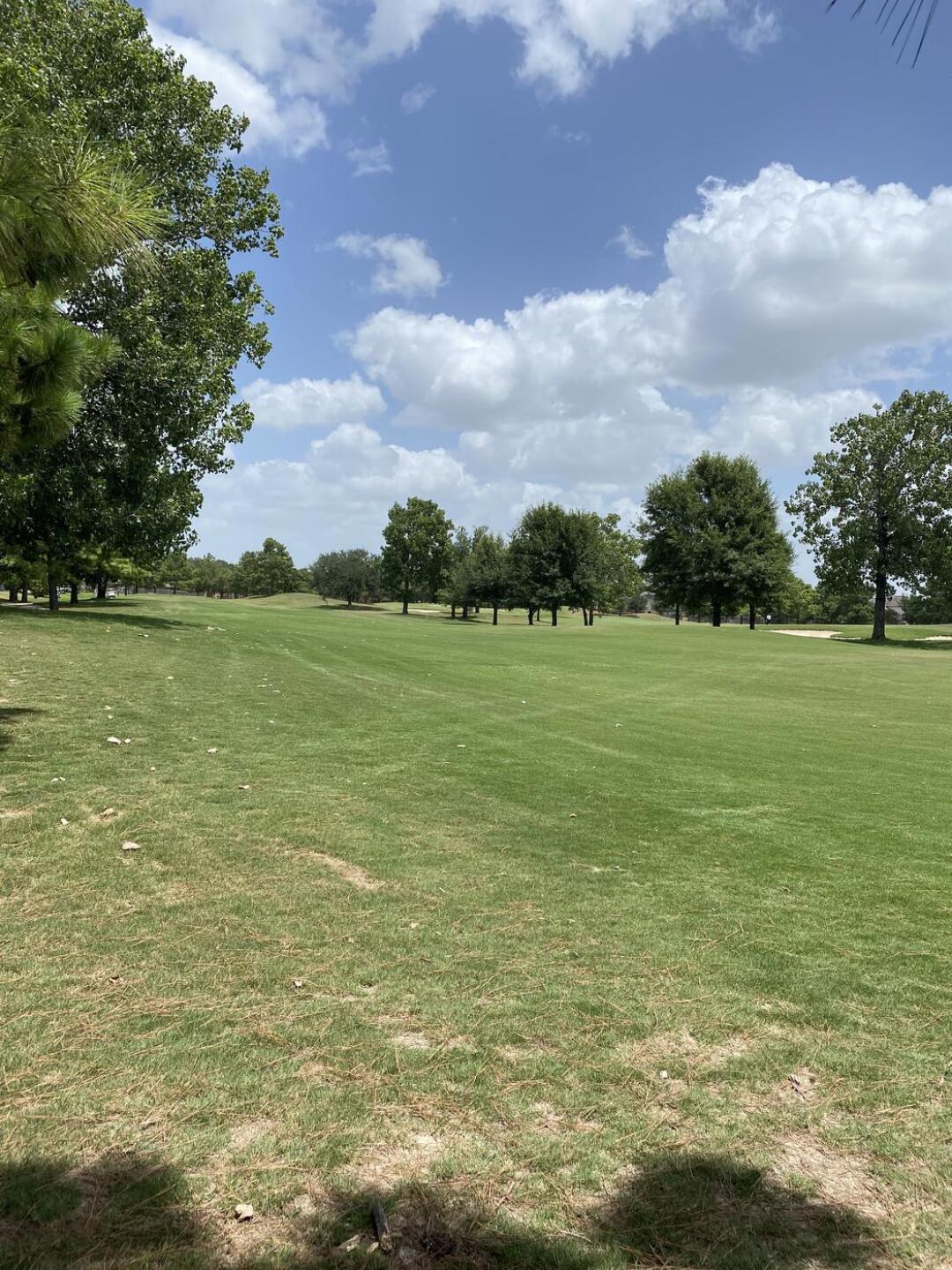 (Photo submitted by RG3008F1A902E58A94F on 07/17/2022)