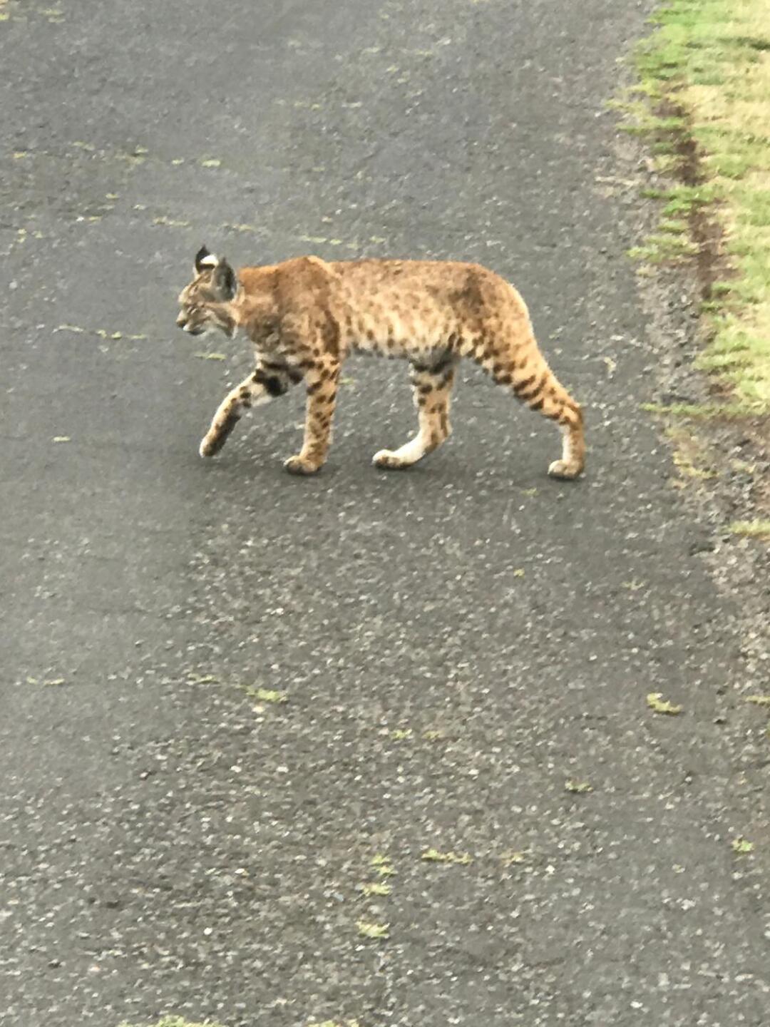 (Photo submitted by torch892 on 07/23/2020)