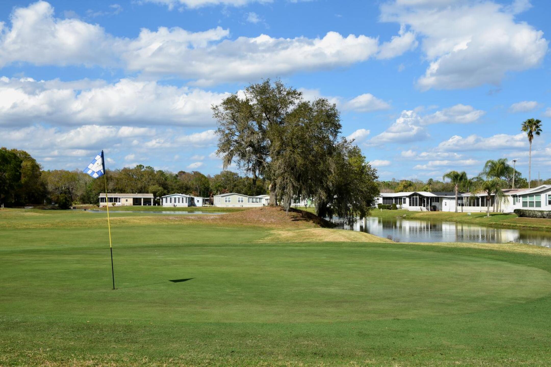 Hole two, from behind the green. Smart decisions matter more than power on these narrow par-4s. (Photo submitted by AptlyLinked on 03/04/2026)