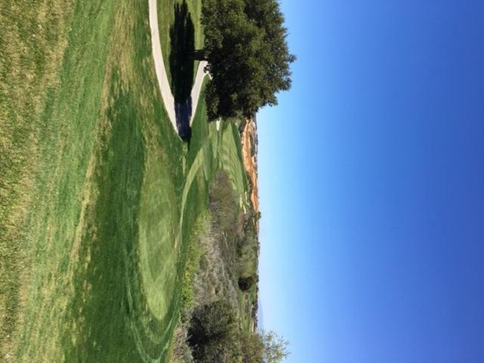 (Photo submitted by 9Ryt2JUJhEET9pfvmkhc on 05/01/2020)