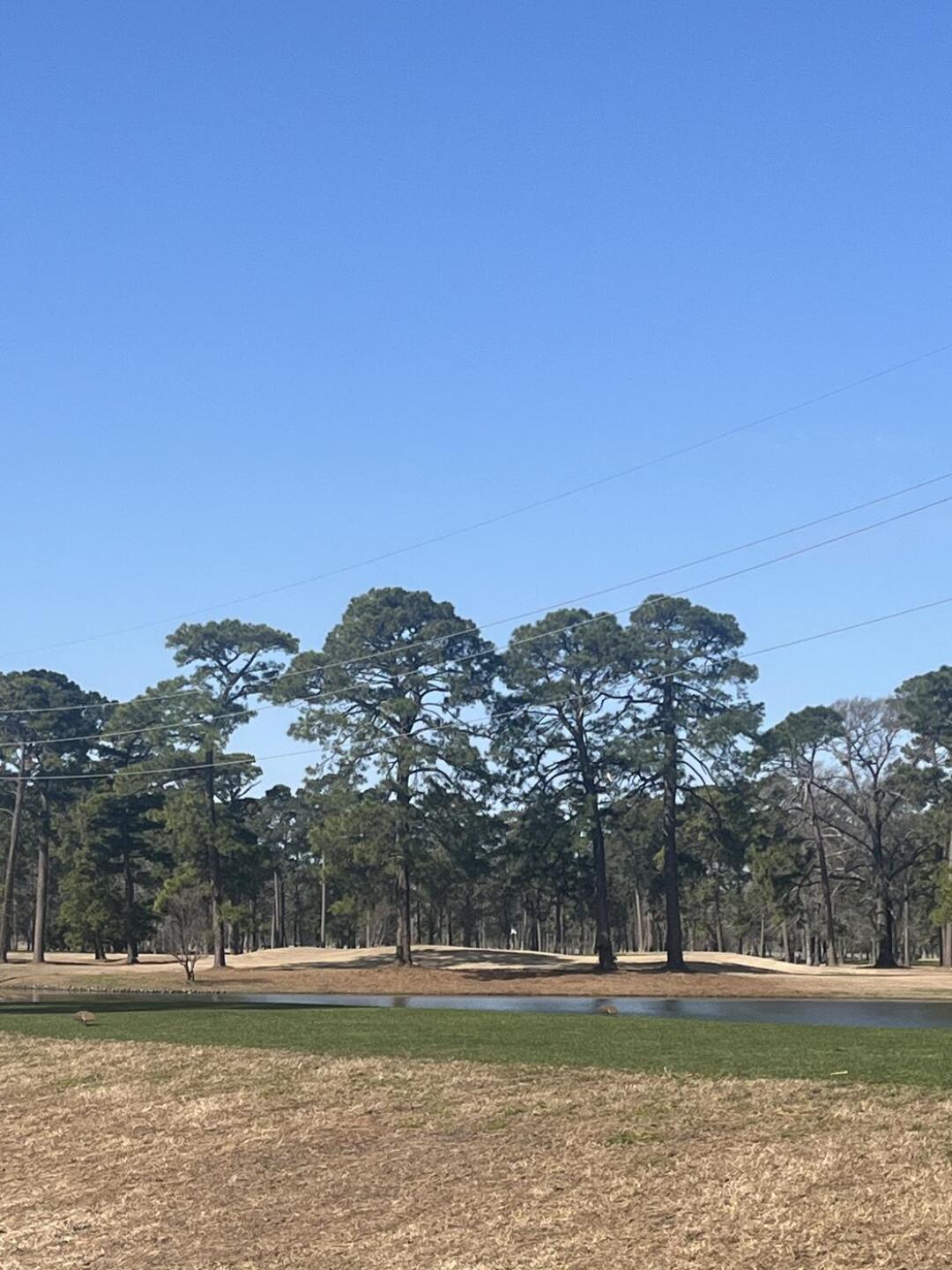 (Photo submitted by u314164785550 on 02/27/2024)