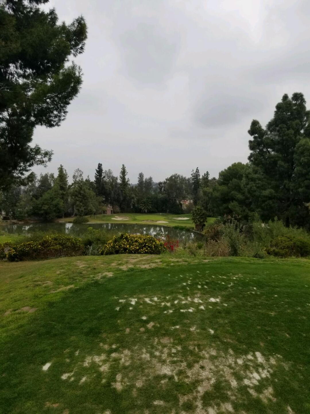 Great par 3 (Photo submitted by vaultman29 on 02/13/2021)