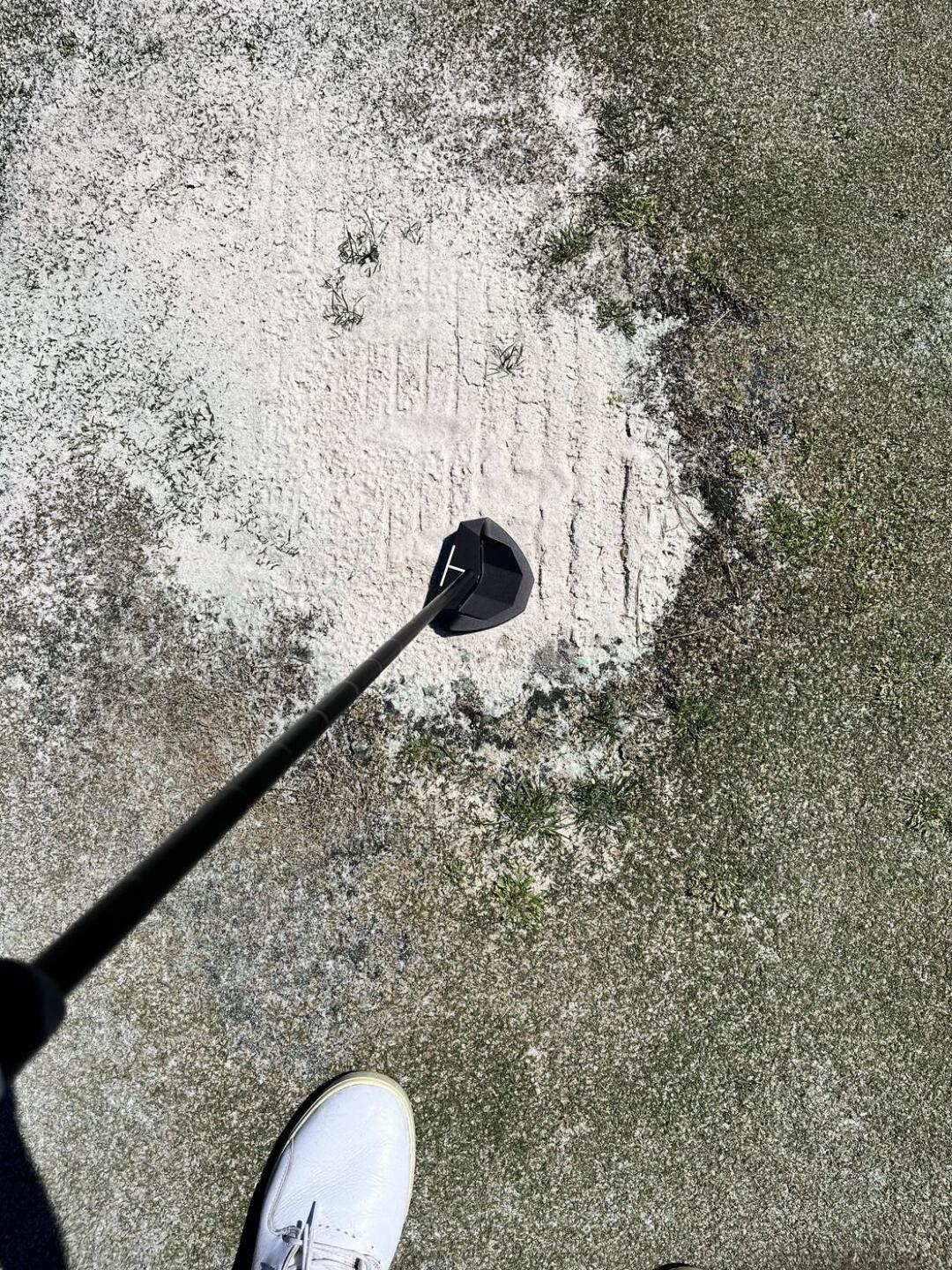 (Photo submitted by klyusmc on 03/21/2025)