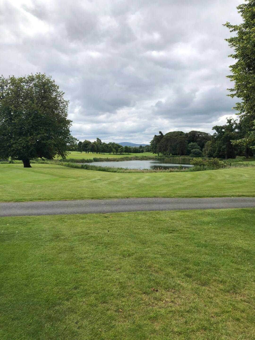 (Photo submitted by Richie4326581 on 07/06/2019)