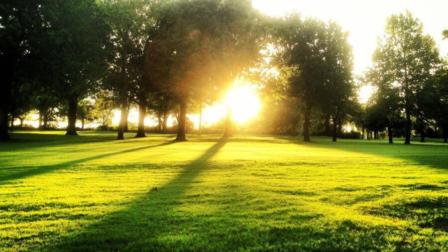 Meadowbrook CC
