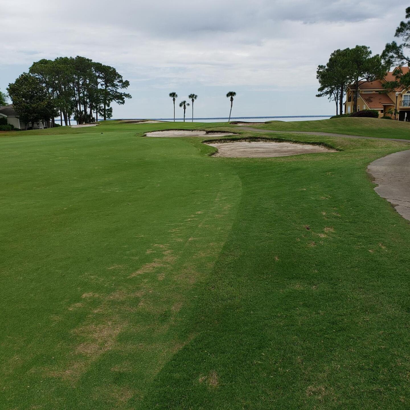 Great views (Photo submitted by Royalstrike on 04/20/2021)