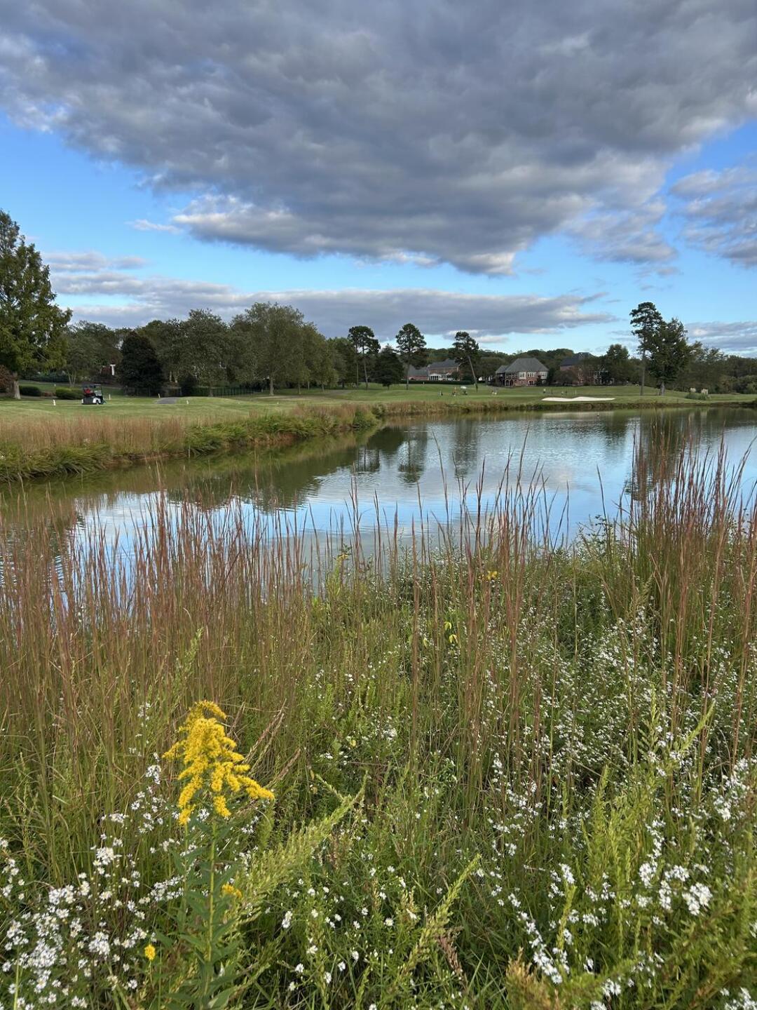 (Photo submitted by qgiUA4VEIwGoGAOB1fou on 10/11/2025)