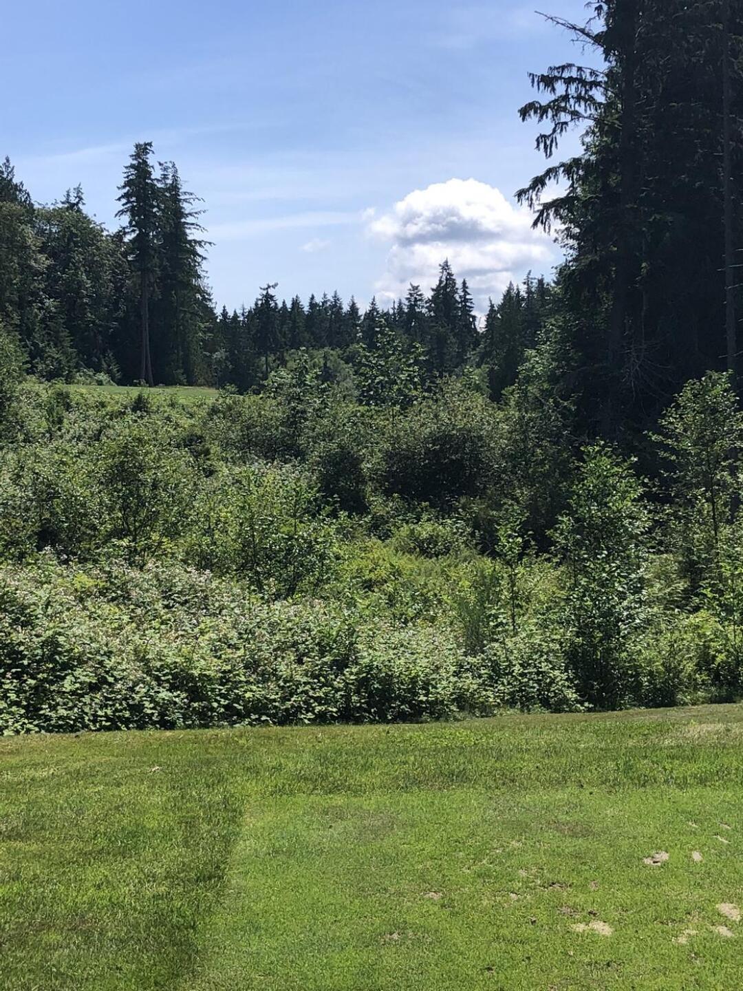 (Photo submitted by u000006317581 on 07/11/2022)