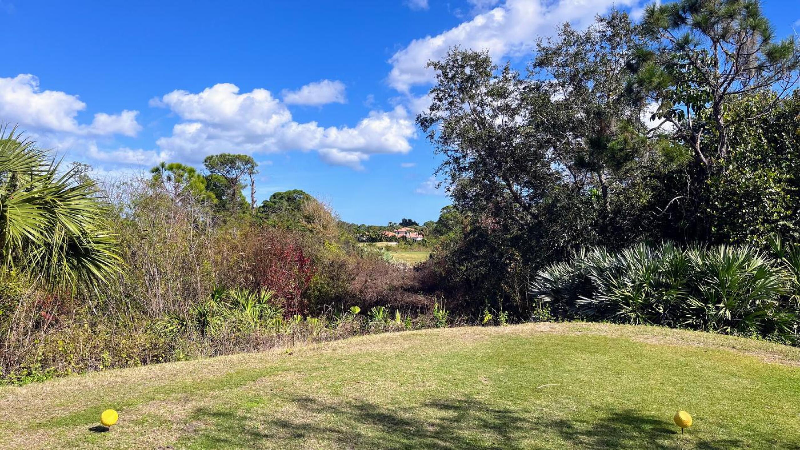 Very narrow target area from a gold tee box (Photo submitted by songyop on 01/02/2023)