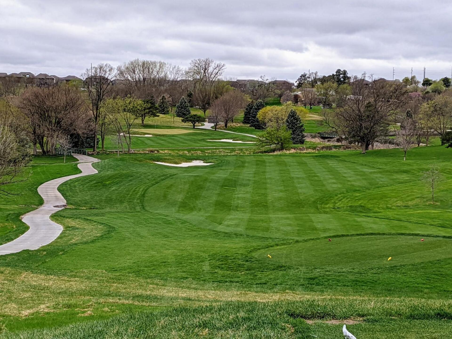 The 6th on the Blackbird 9 is a fun, downhill par 4. With the right wind, long hitters can be aggressive. (Photo submitted by GolferJake78 on 05/01/2022)