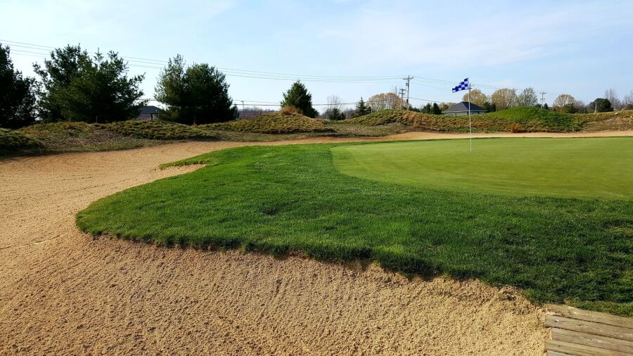 Grey Hawk GC: #3