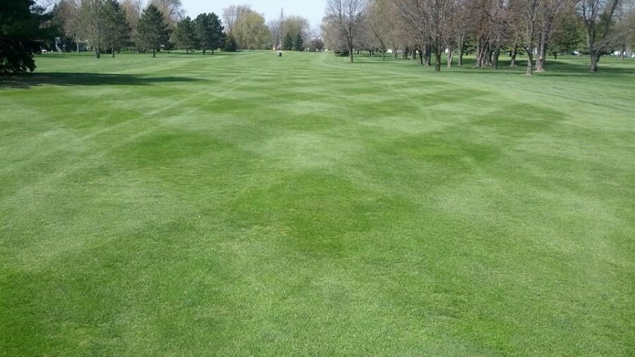 Fairways GC
