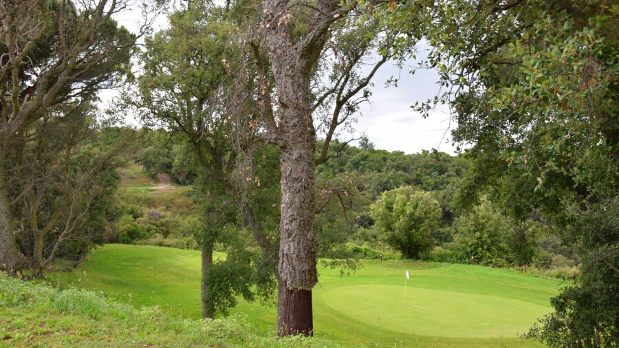 Club Golf d’Aro - Mas Nou - Pitch&Putt: #7