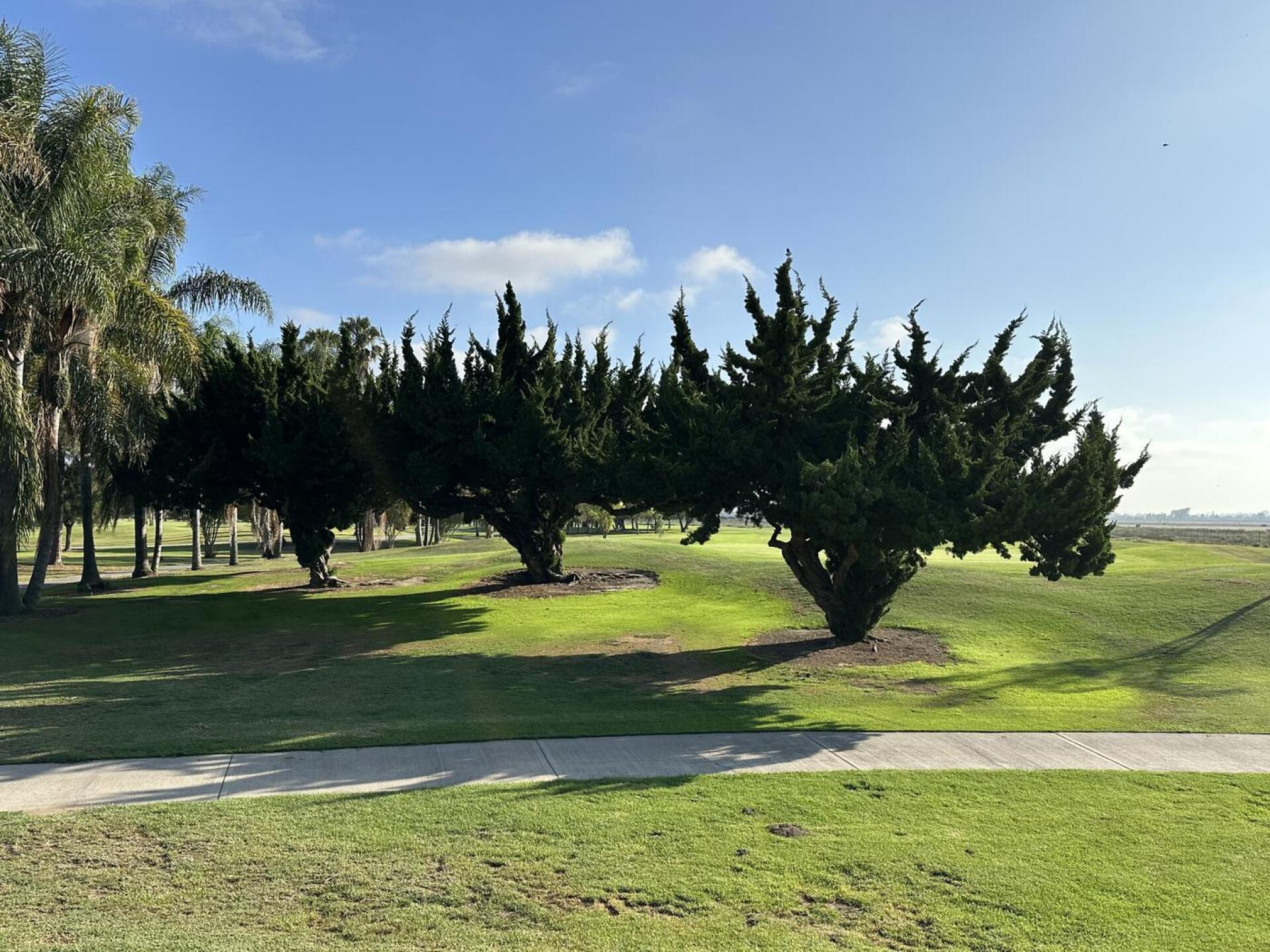 (Photo submitted by GolfJaime on 07/11/2025)