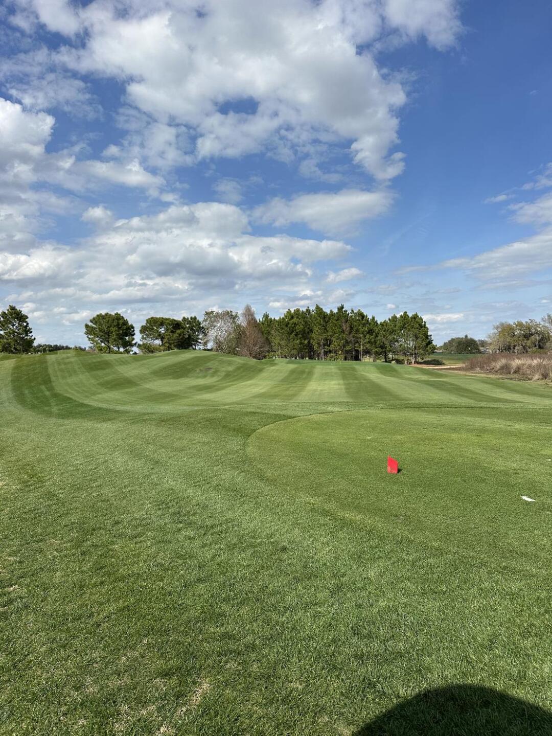 (Photo submitted by u314162475914 on 02/27/2026)