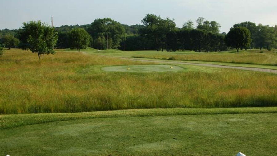 Stone Crest GC - West Nine: #6