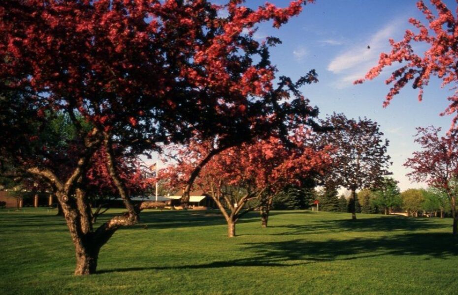 Meadowbrook Country Club in Racine, Wisconsin, USA GolfPass