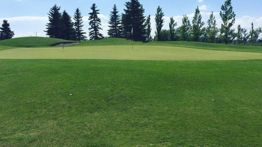 Evergreen Golf Centre: #4