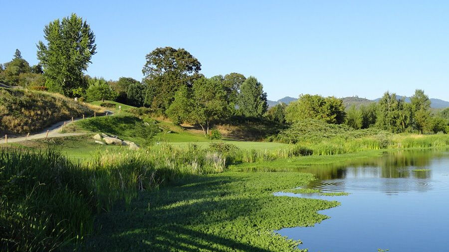 Dutcher Creek GC