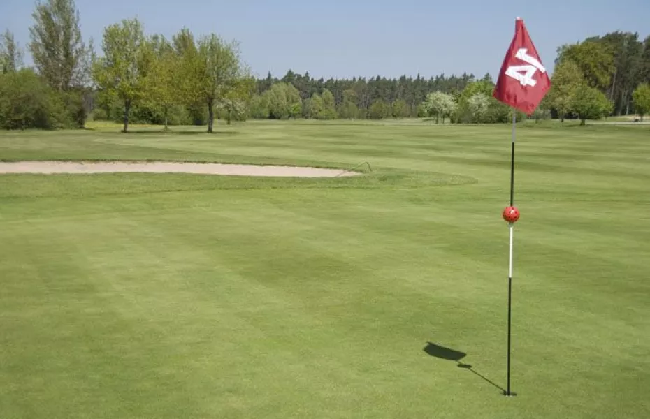 Lichtenau-Weickershof GC: #14