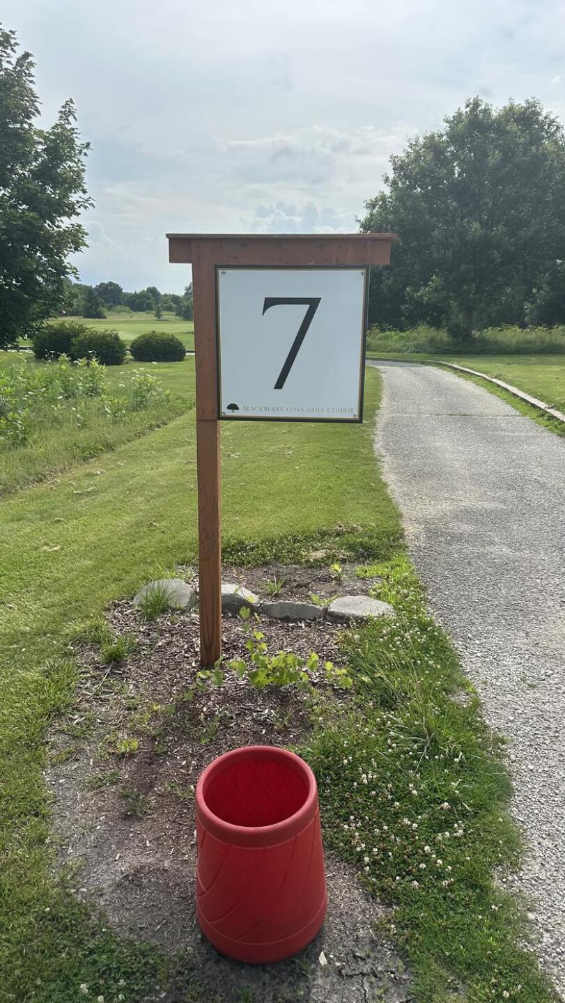 The 7th hole. (Photo submitted by u314163700489 on 07/11/2026)