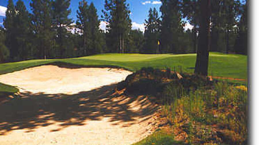 Widgi Creek #12