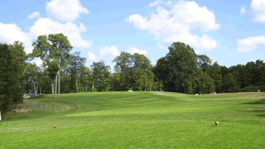 Sly Fox GC: #2