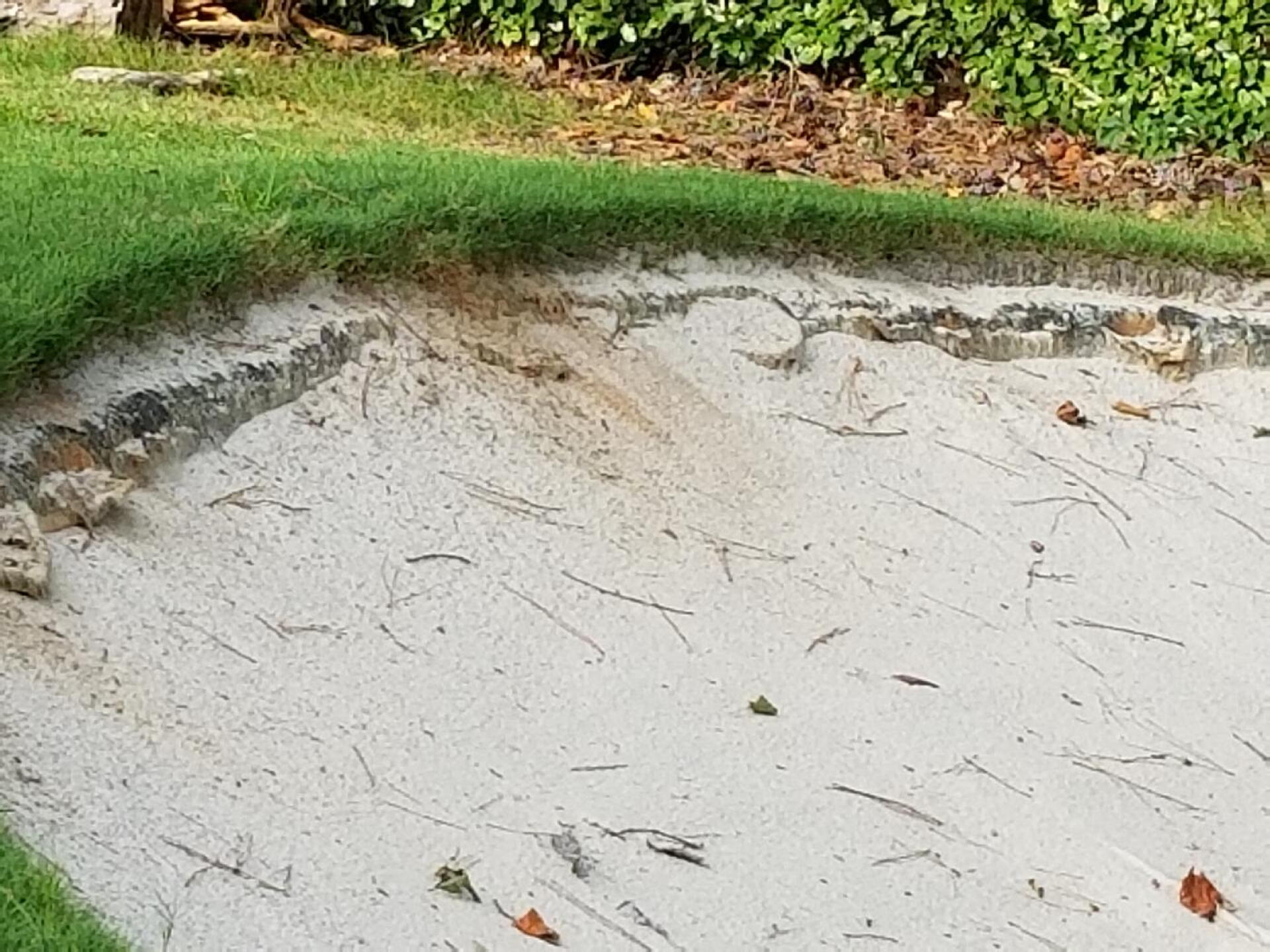bare bunkers (Photo submitted by u3554789 on 09/11/2017)