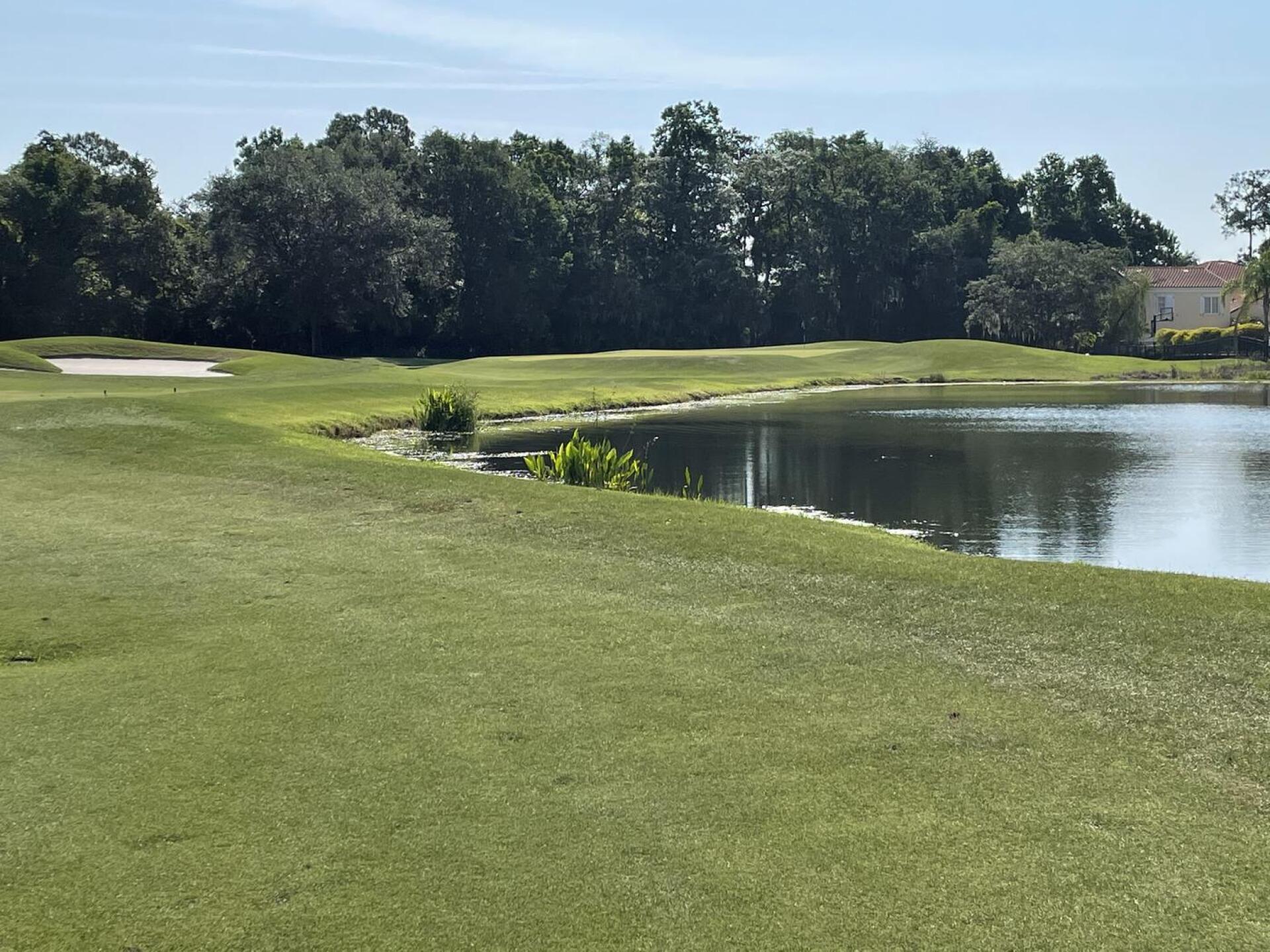 (Photo submitted by golfing49 on 05/08/2021)