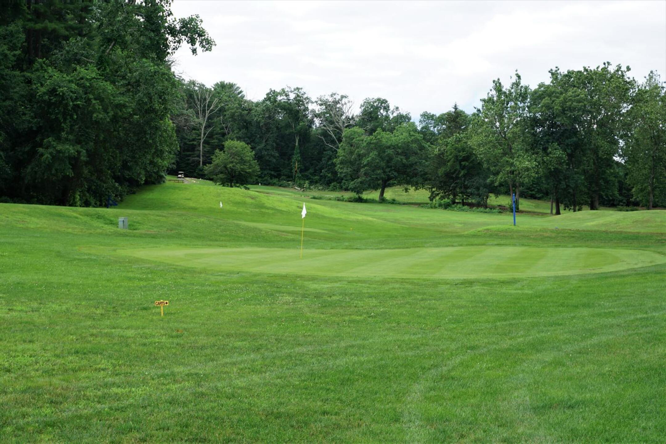 Eight: The small green that concludes the course’s longest hole of 385 yards. (Photo submitted by AptlyLinked on 07/05/2021)