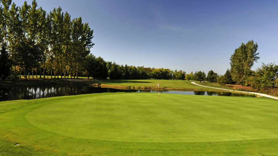Casselview GCC: #4